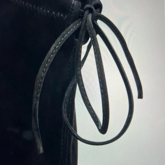 Stuart Weitzmsn “ Lowland” Suede Over-the Knee Boots
